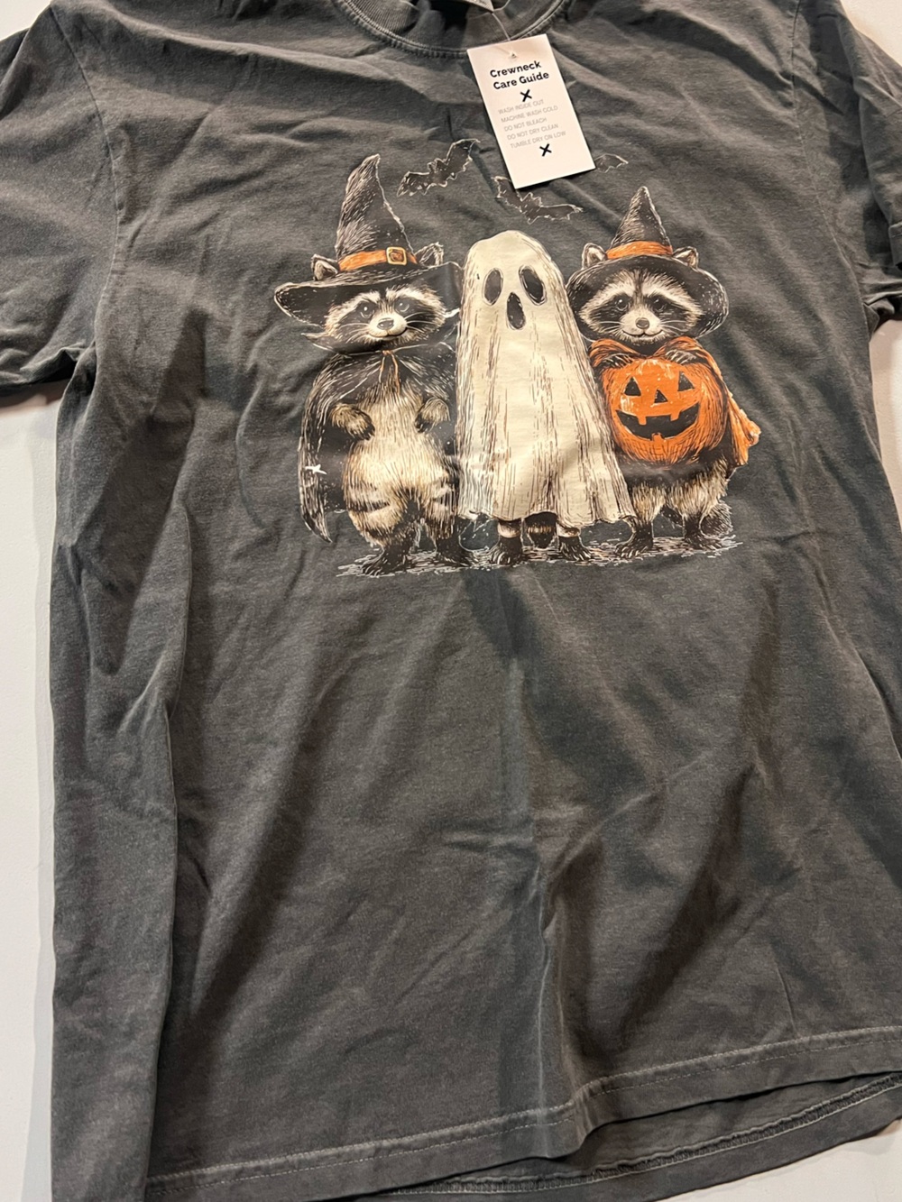 Halloween Raccoon & Ghost Costume T-Shirt - Gray